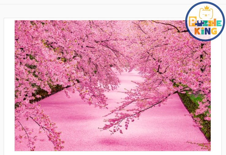 青森-弘前公園花茷 (絕版)