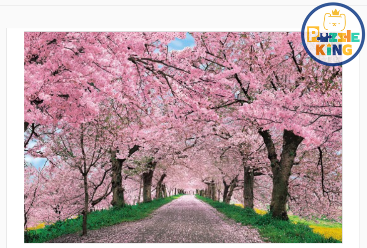 櫻花染紅的權現堂堤防－埼玉縣