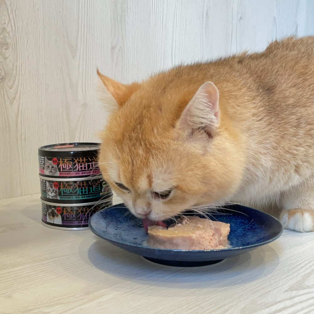 極貓道 - 無膠保健主食罐(幼 / 成 / 老混搭) - 單罐 / 6罐 / 12罐