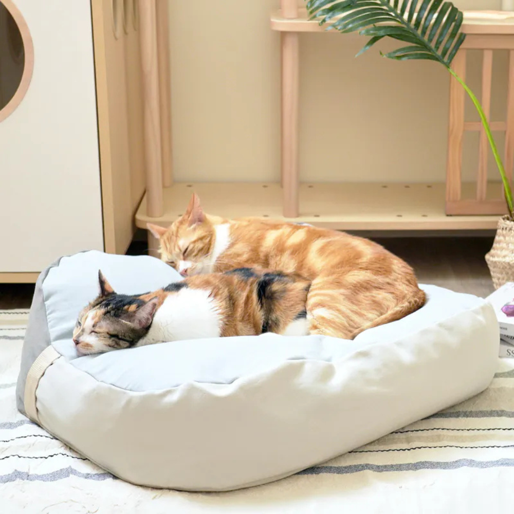 好味貓懶骨頭｜好味小姐懶骨頭 XL號 貓睡床 狗狗睡床