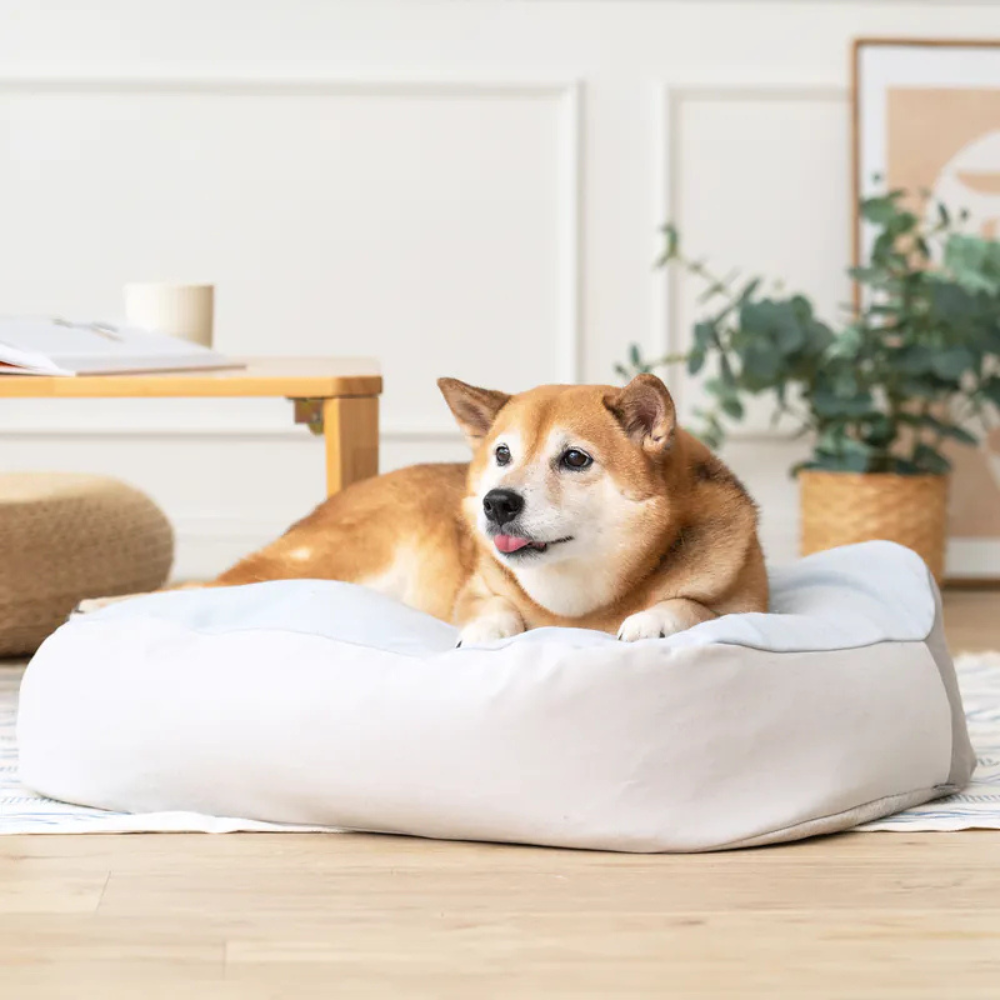 好味貓懶骨頭｜好味小姐懶骨頭 XL號 貓睡床 狗狗睡床