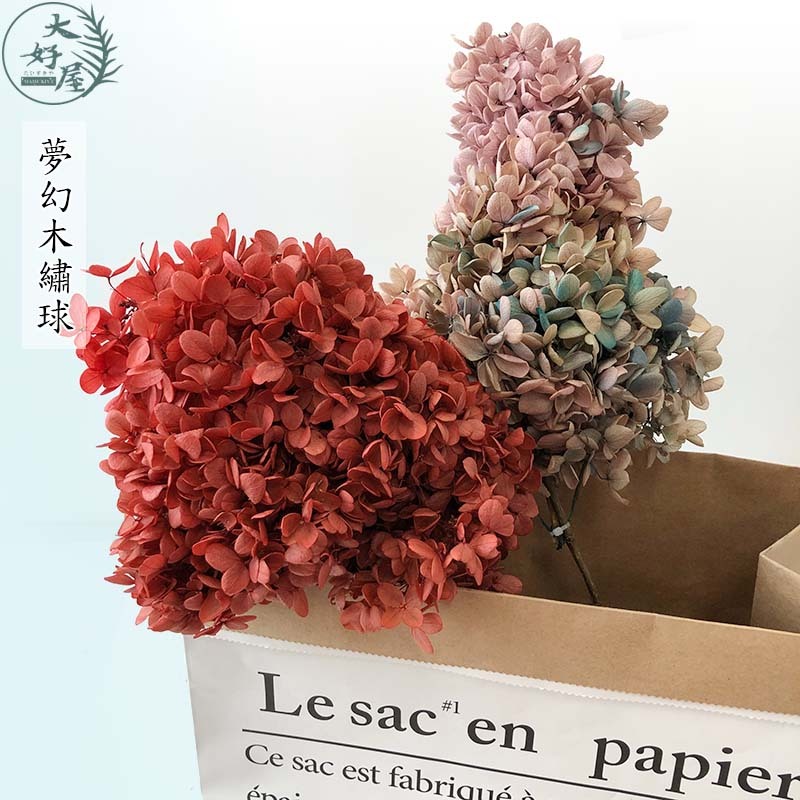 永生木繡球 & 亞特蘭繡球【束裝】