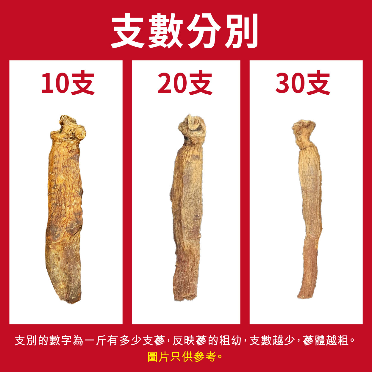 正官庄香港│地20支(半斤庄)│全球No.1人蔘品牌
