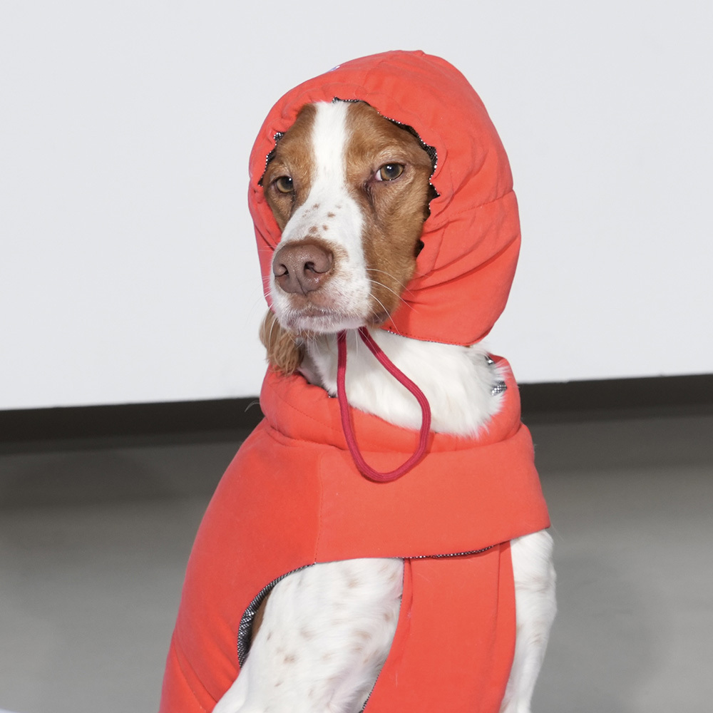 puppygallery｜ 復古小花背心2.0 紅