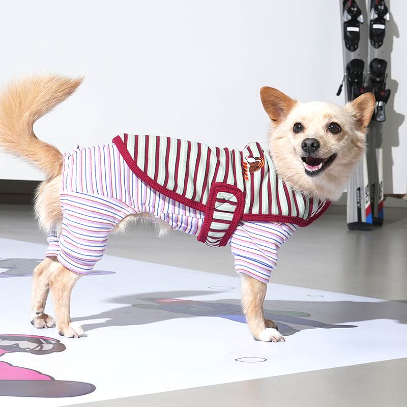 puppygallery｜ Jam Jam 條紋披風 綠