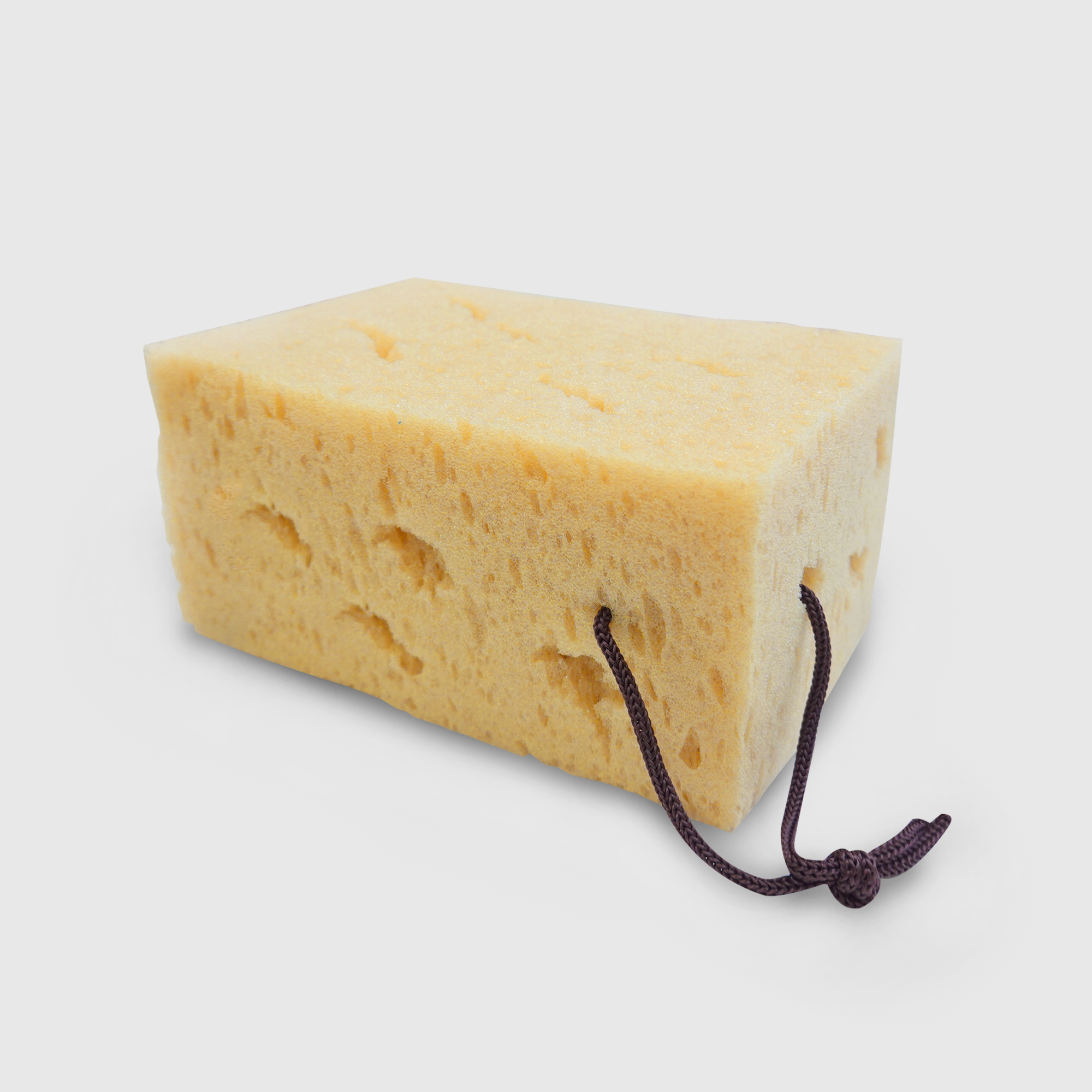 洗車工具｜蜂窩多孔珊瑚海棉