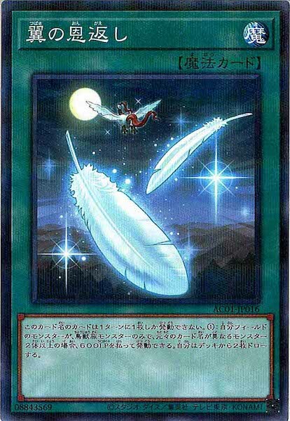 AC01-JP016  翼の恩返し (翼的報恩)