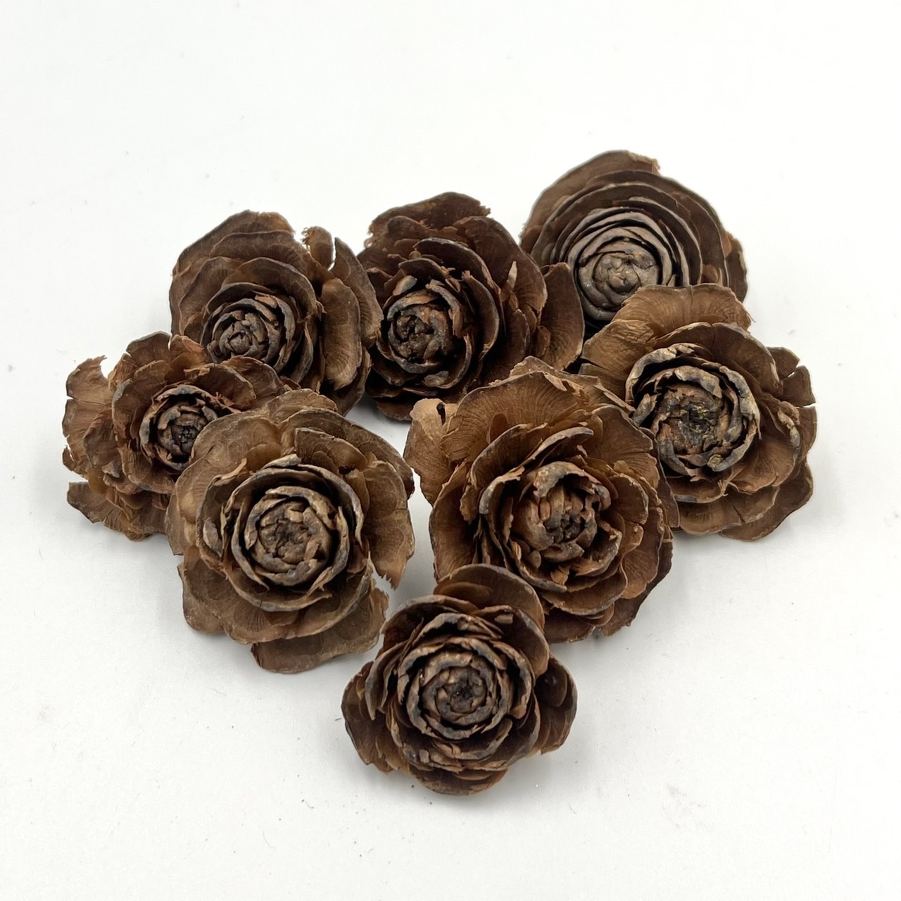 木玫瑰花頭-原色