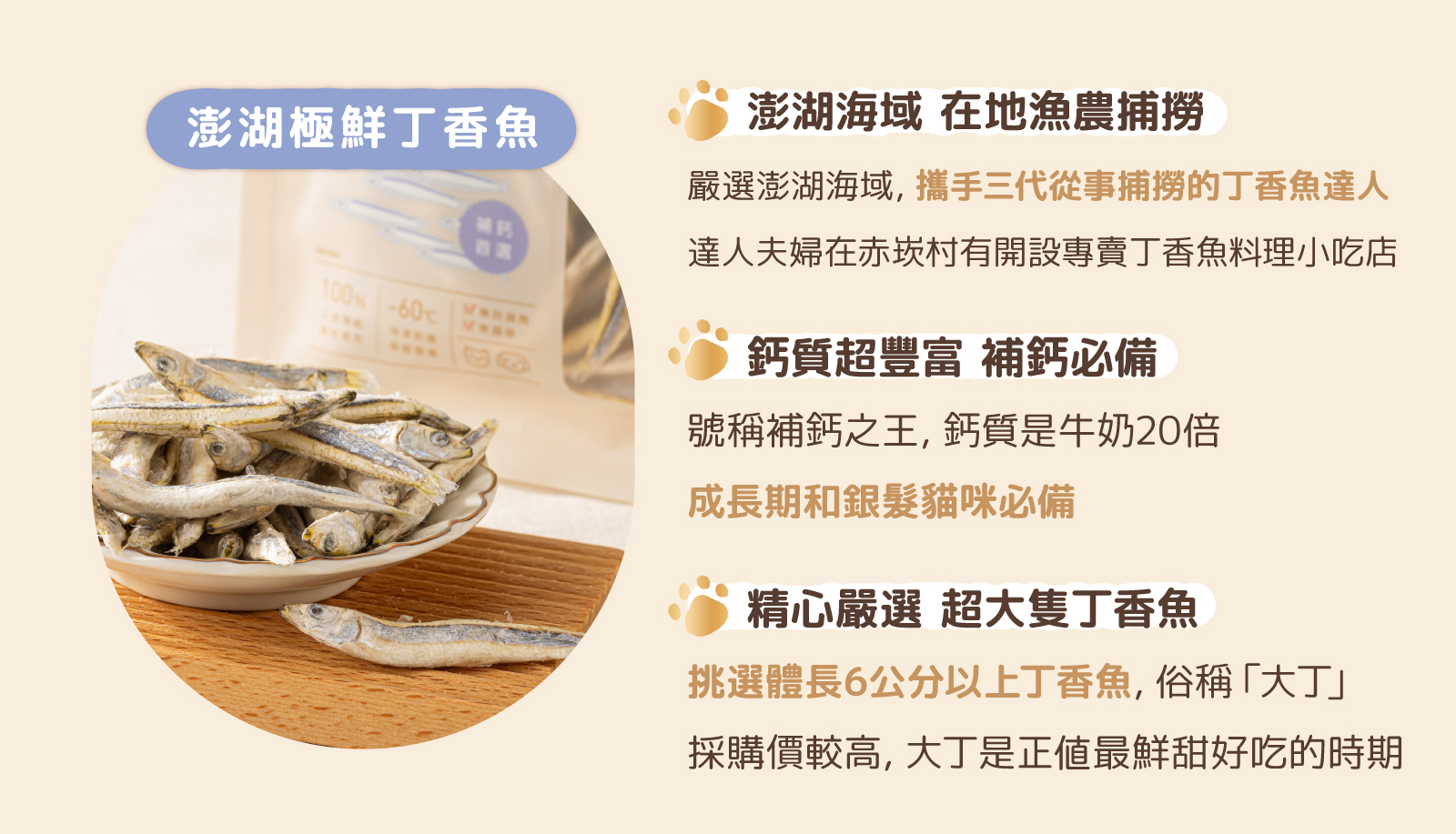 澎湖極鮮丁香魚凍乾
