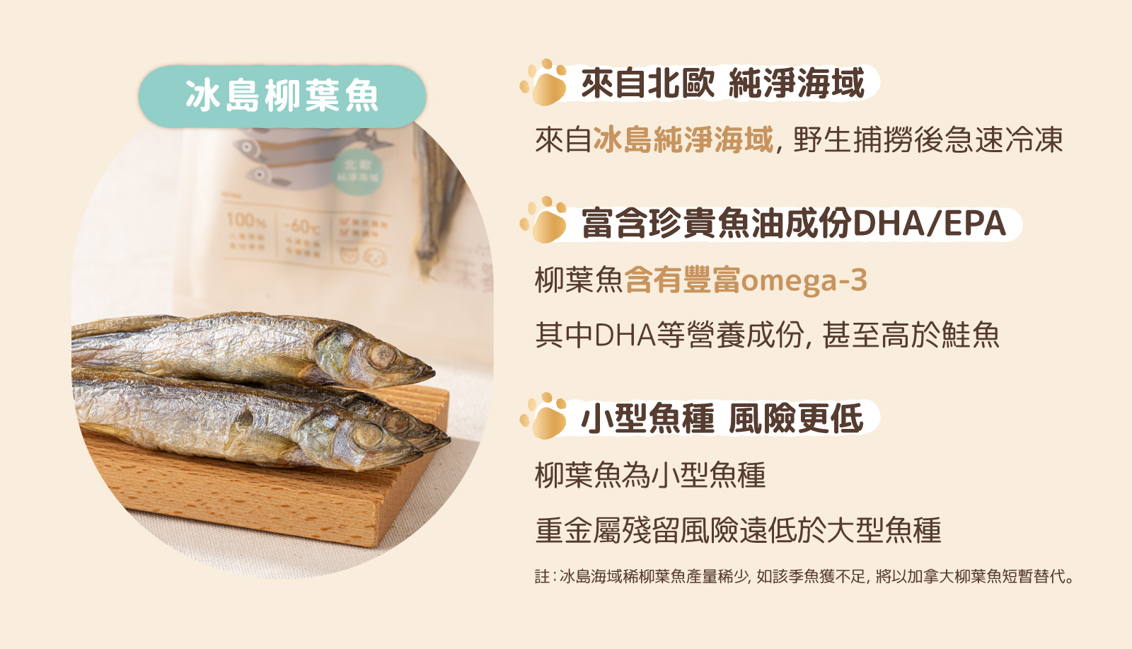 冰島柳葉魚凍乾