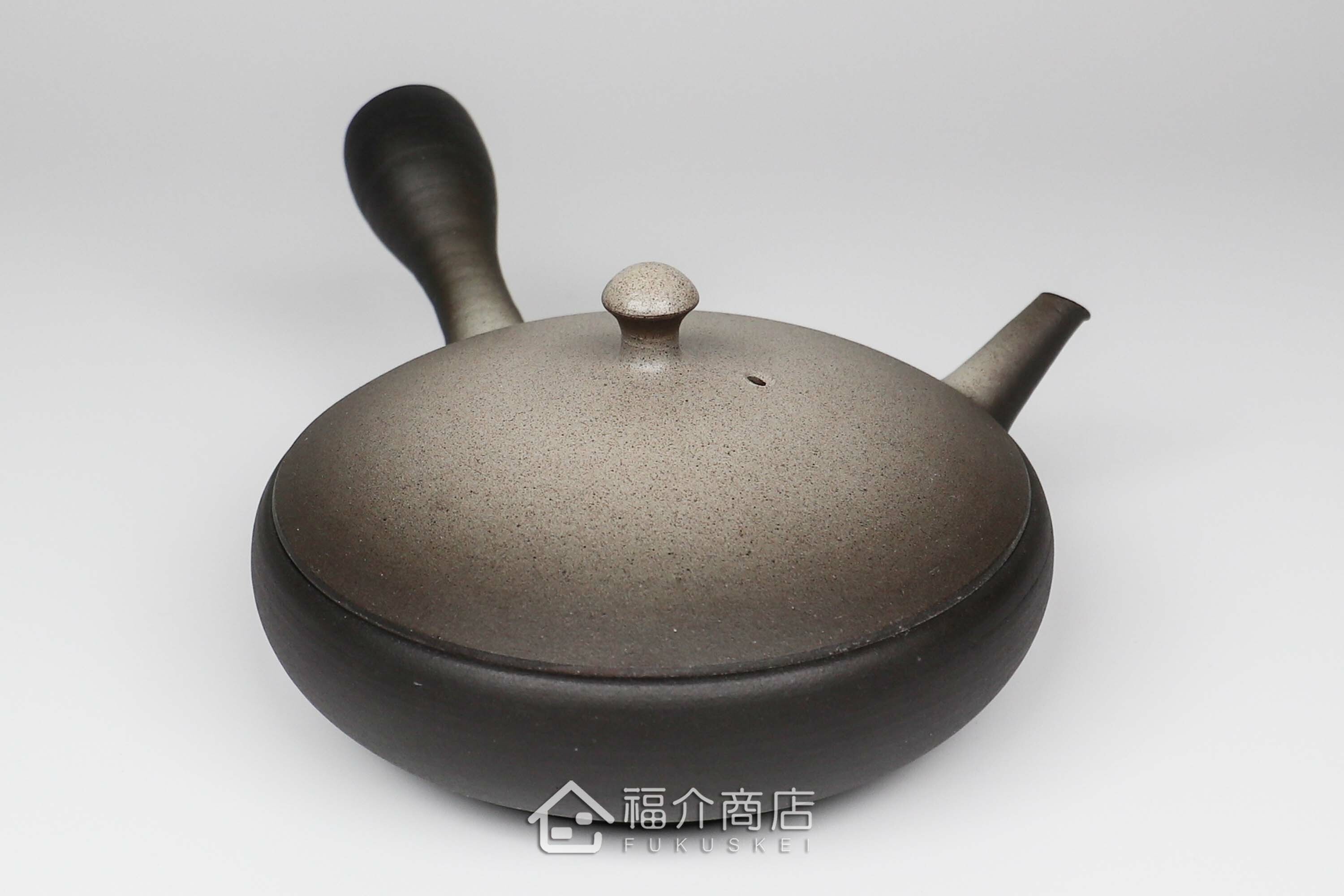 泡茶用的100ml日本陶瓷茶壺