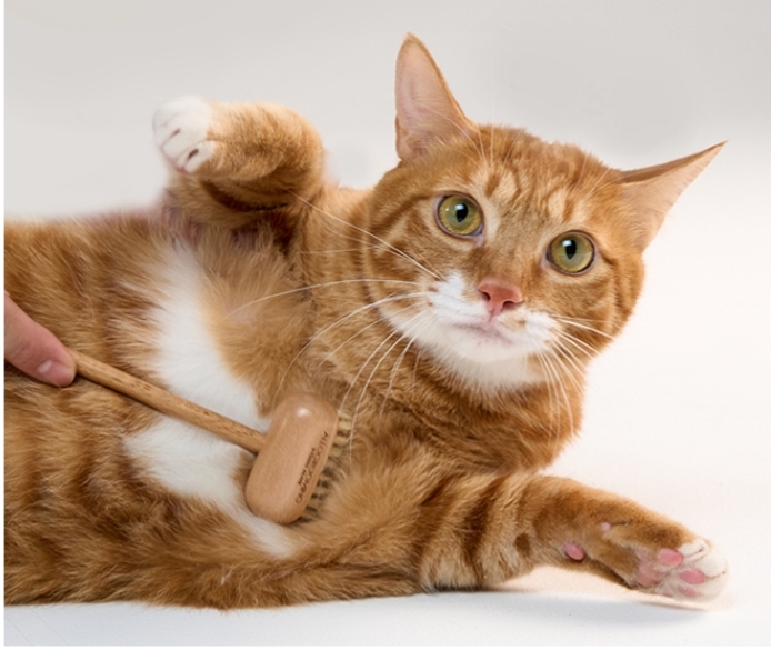 月光精品按摩梳