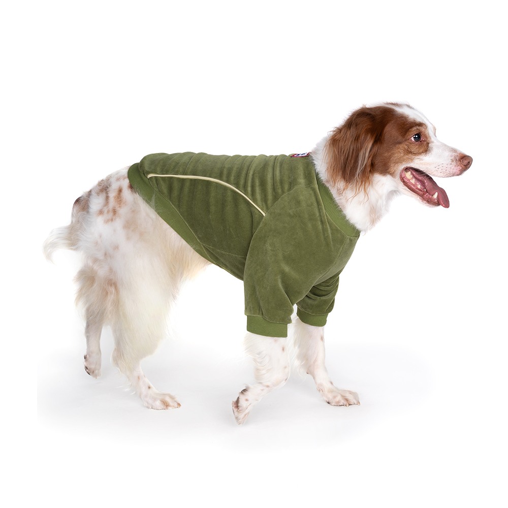 《 Charlies backyard 》RUSH T恤｜綠色