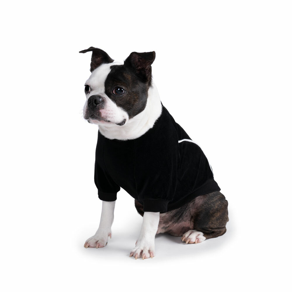 《 Charlies backyard 》RUSH T恤｜黑色