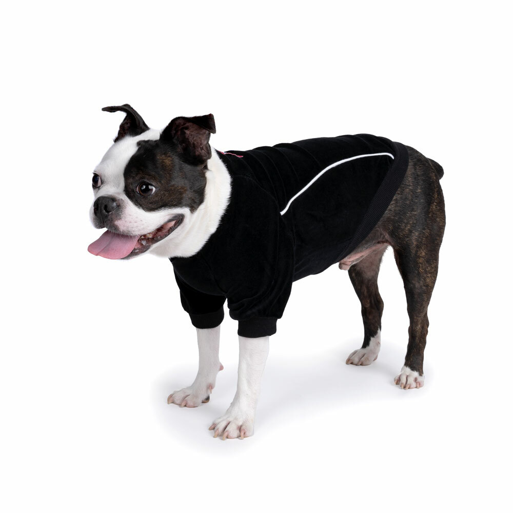 《 Charlies backyard 》RUSH T恤｜黑色