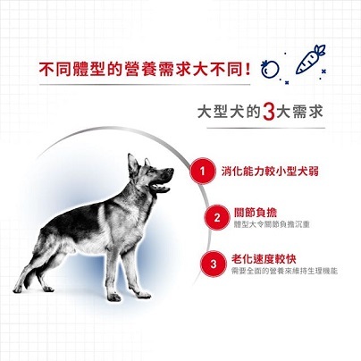 哲　 CANIN 大型犬 成犬用4kg 4袋 Royal Canin 大型成犬糧GR26 - 4kg / 15kg