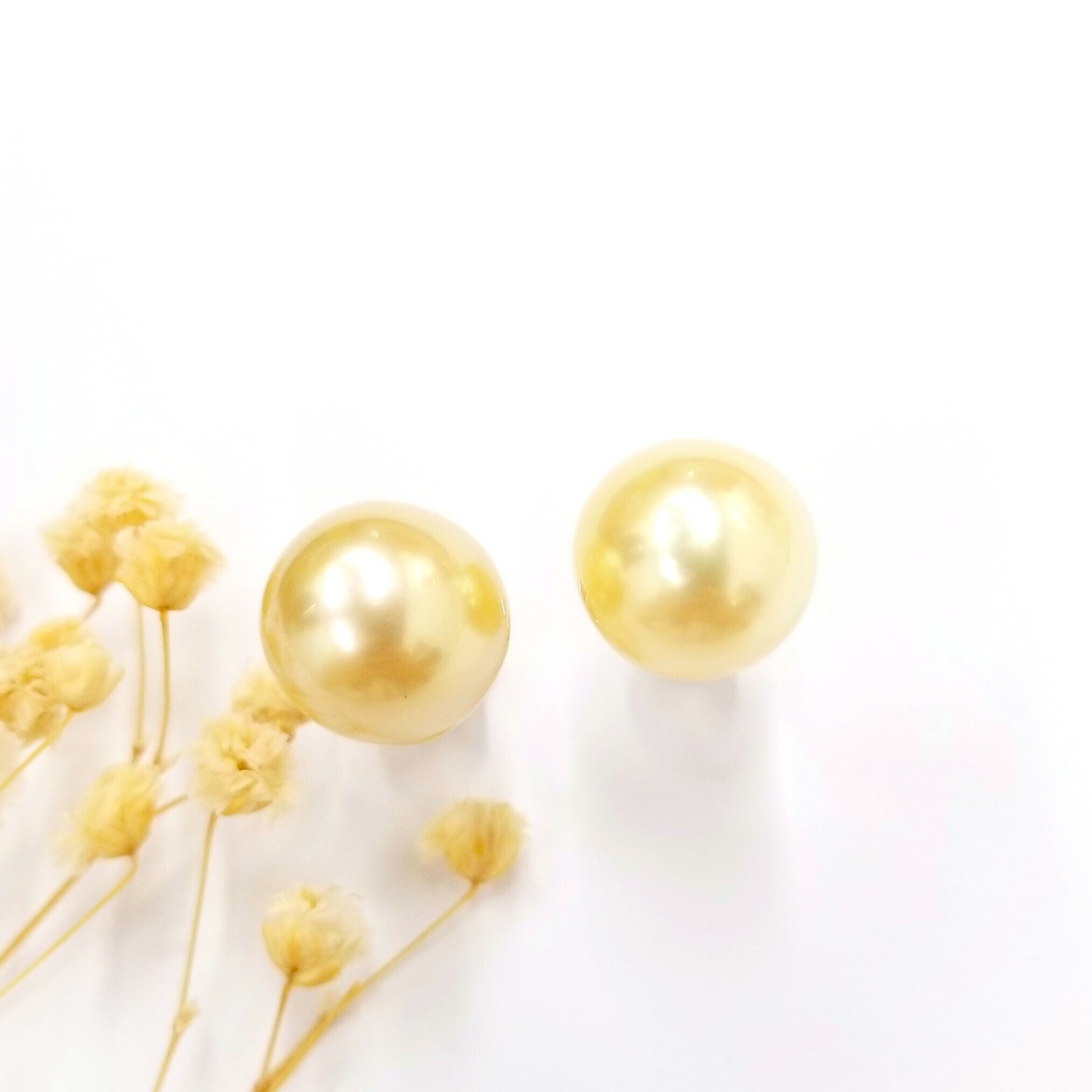 全新18K白金南洋金珠耳環