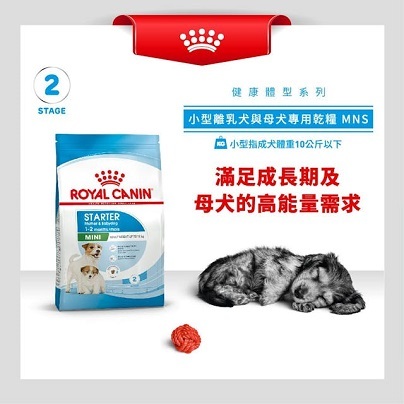 Royal Canin 小型初生BB糧 MIST - 3kg