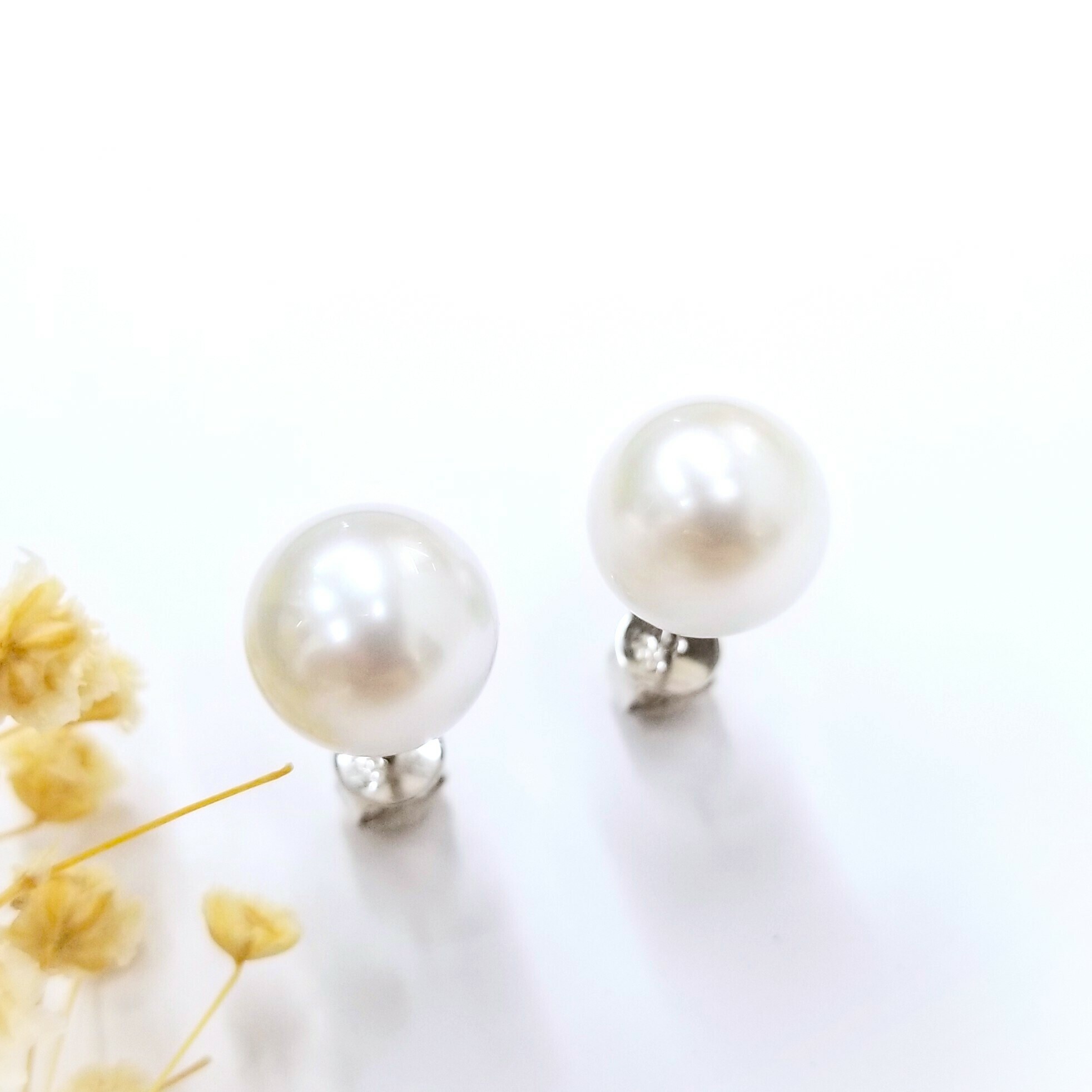 全新18K白金南洋白珍珠耳環