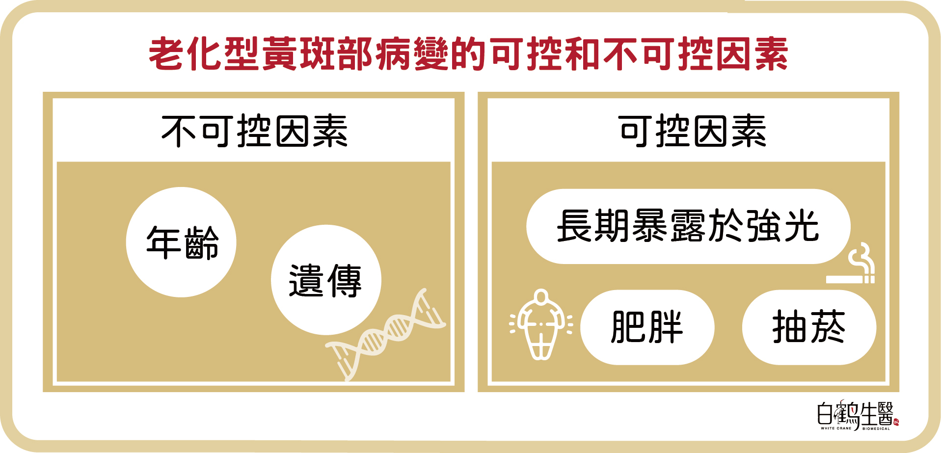 老化行黃斑部病變的可控和不可控因素