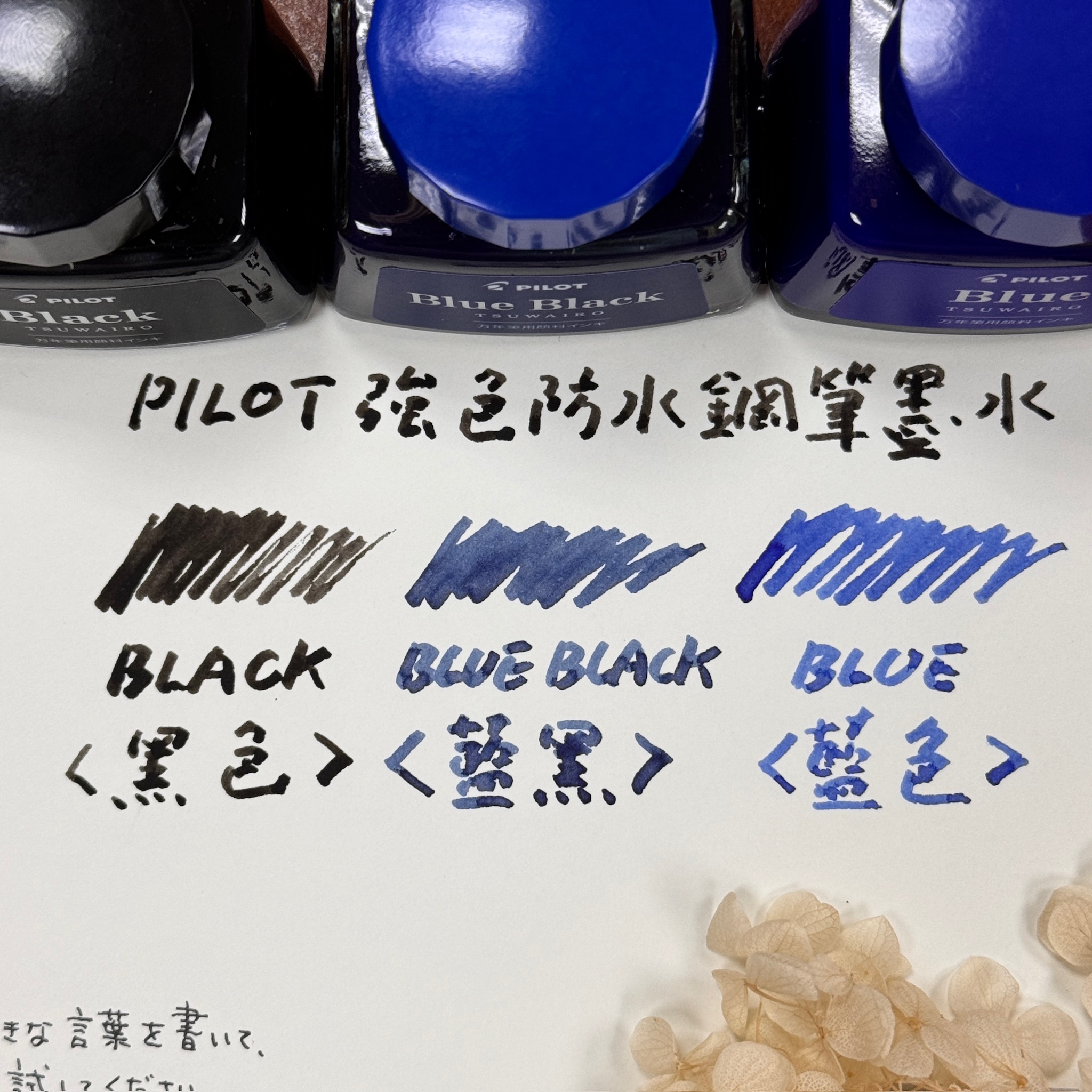 百樂 PILOT｜強色 TSUWAIRO 防水耐光 鋼筆墨水 30ML