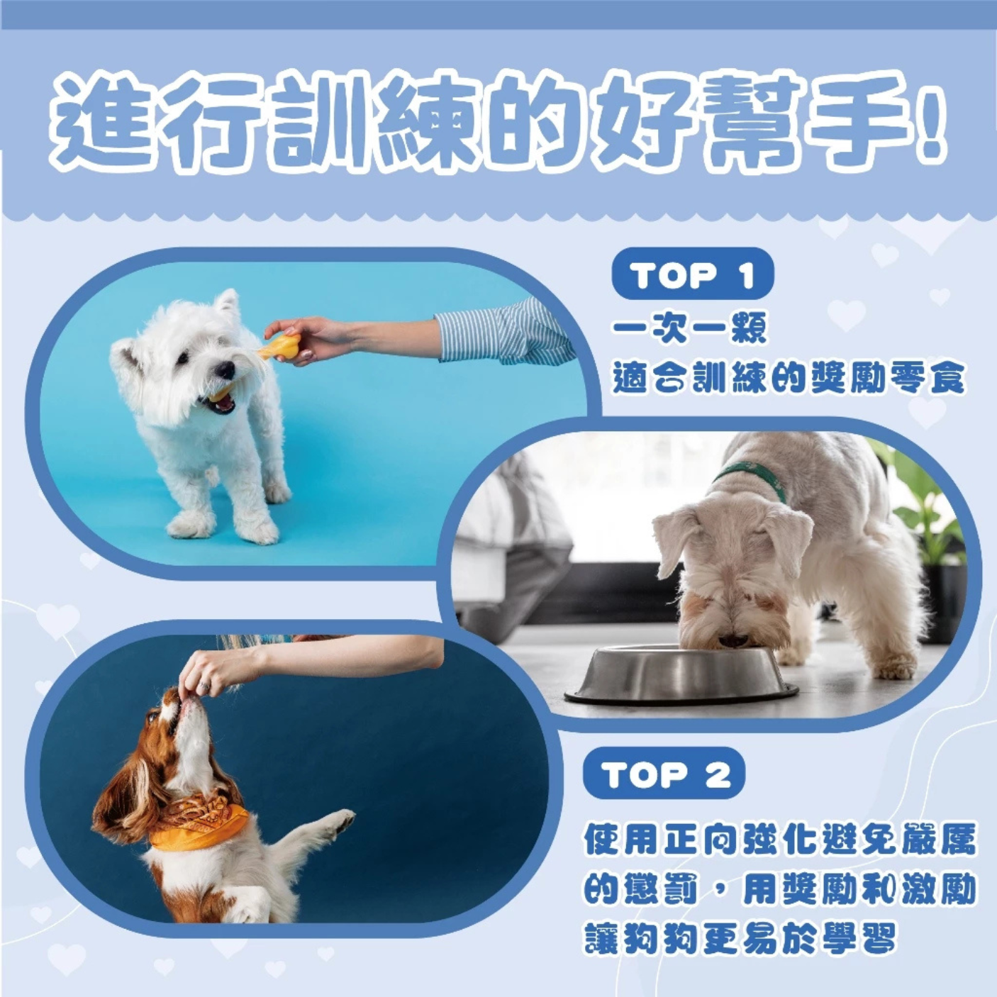 O,Bli 噢,比利｜犬用肉肉點心 狗零食 幼犬零食 老犬零食 狗狗零食 狗狗肉乾 韓國製造