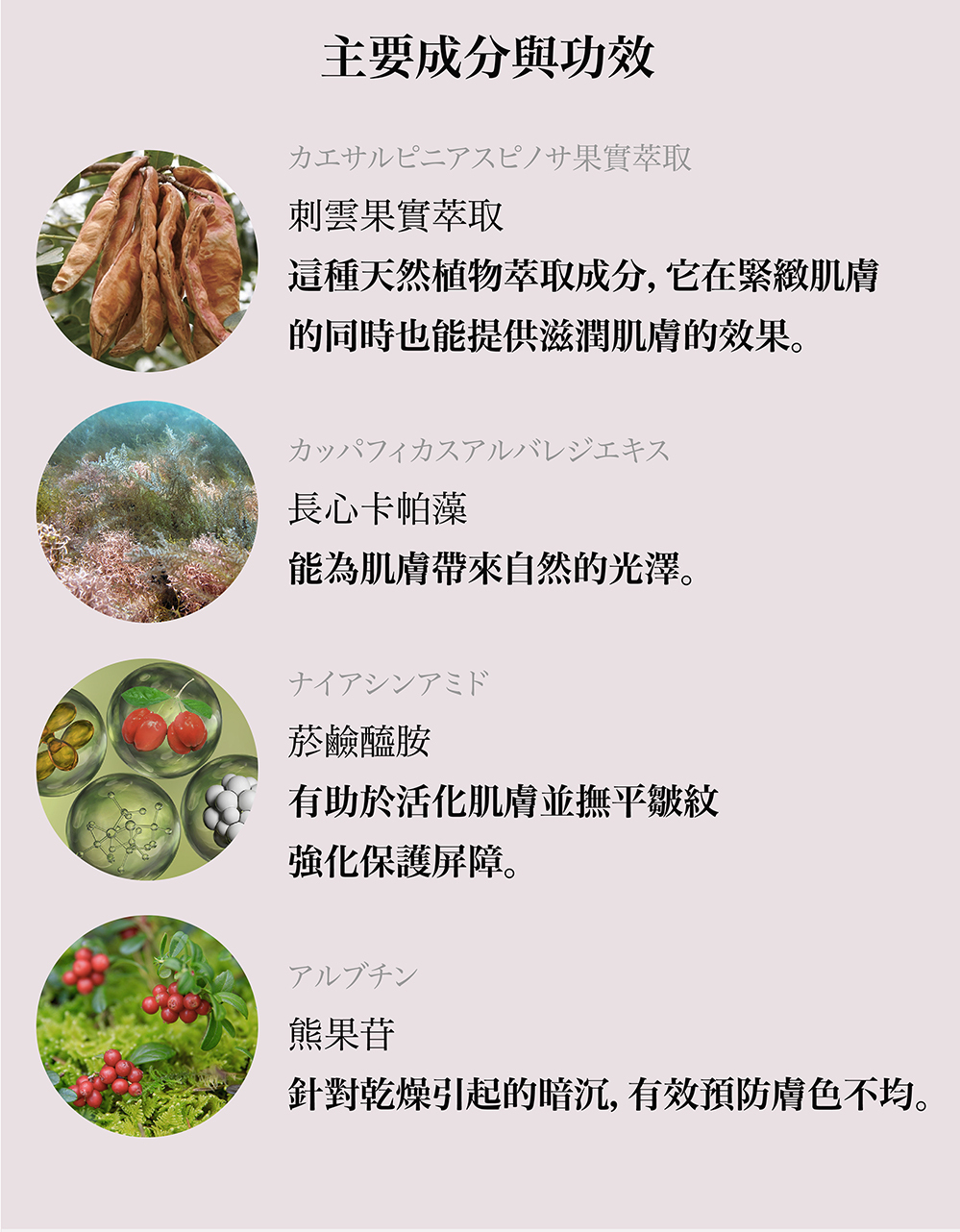 WMT GLOW UP SERUM 專為美容儀護理而設計,擁有理想的質地和使用便利性,尤其適合與儀器搭配使用。這款美容精華液非常推薦給使用美容儀的您。 -日常護膚的升級 將這款美容精華液納入您的日常護膚程序,讓護膚變得更具特別意義。均勻塗抹於臉部,精華液將緊密貼合肌膚,為肌膚帶來持久的滋潤和健康光彩。