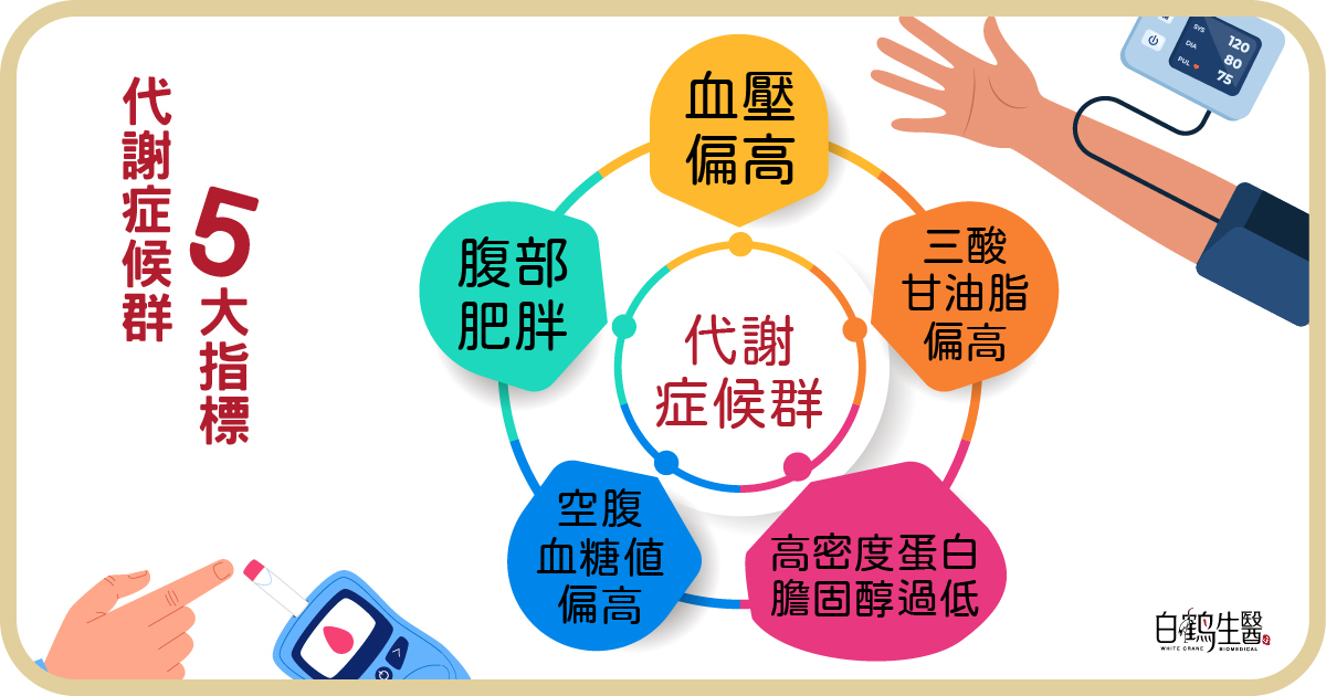 代謝症候群5大警戒指標：腹部肥胖、高密度脂蛋白膽固醇偏低、血壓偏高、空腹血糖值偏高及三酸甘油脂偏高
