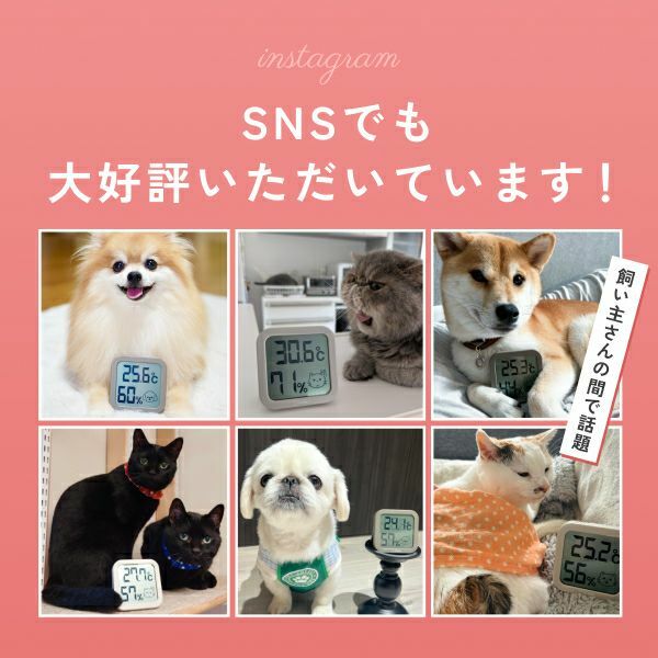 Dretec 寵物環境溫濕度計 O-443D