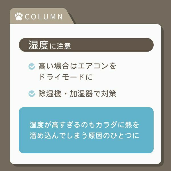 Dretec 寵物環境溫濕度計 O-443D