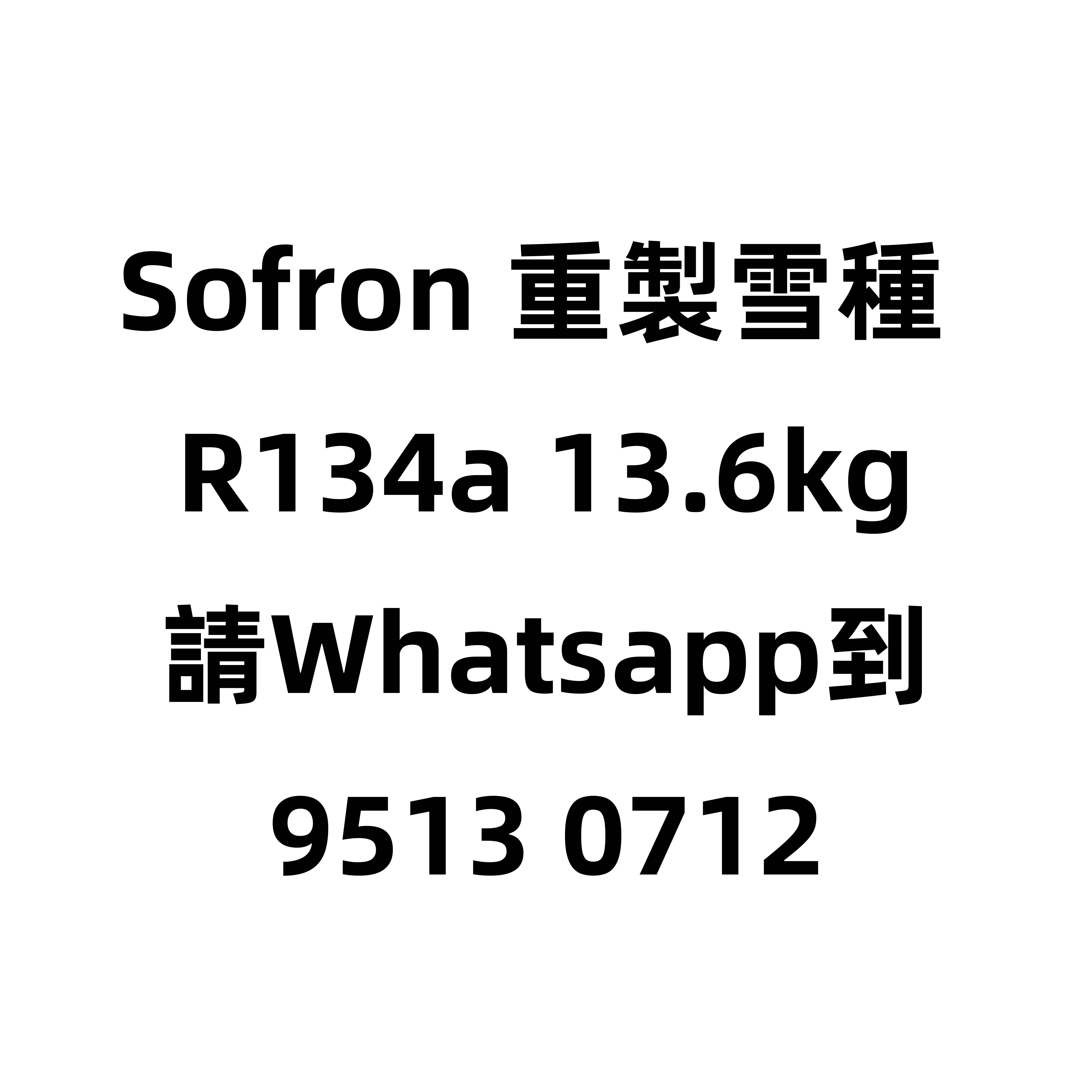 Sofron 重製雪種 R134a 13.6kg