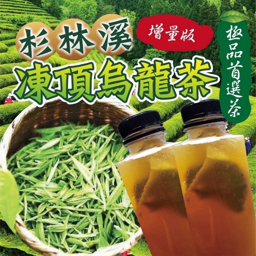 杉林溪凍頂烏龍茶增量版