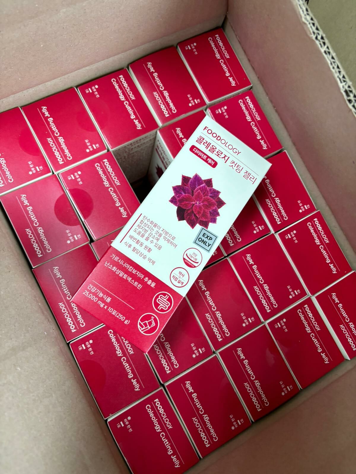 Foodology 藤黃果維他命萃取素減脂速纖果凍條