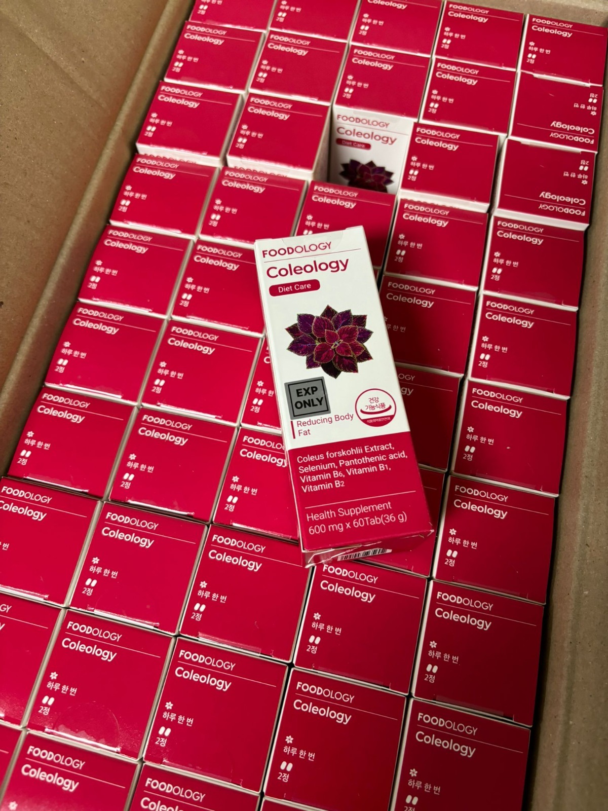 Coleology五彩蘇植物纖體睡眠片