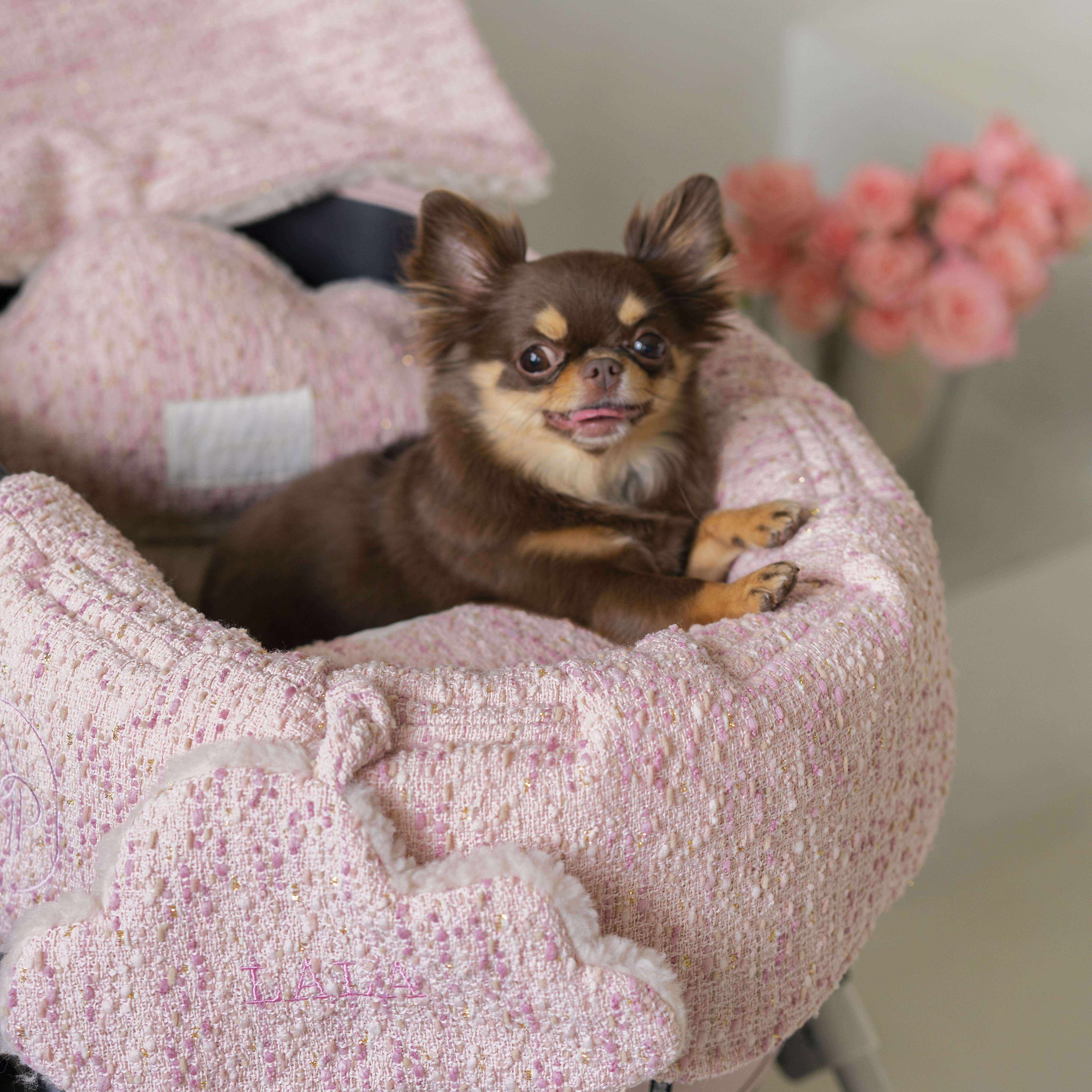 OPAAAP 限定特別版 小香風車圍墊