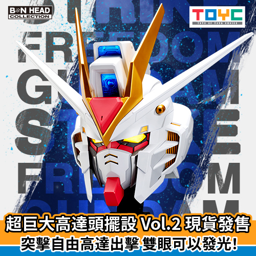 [BN HEAD COLLECTION] ZGMF-X20A 突擊自由高達