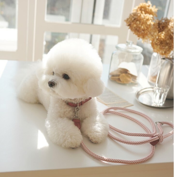 Stroll 經典款牽繩 120cm