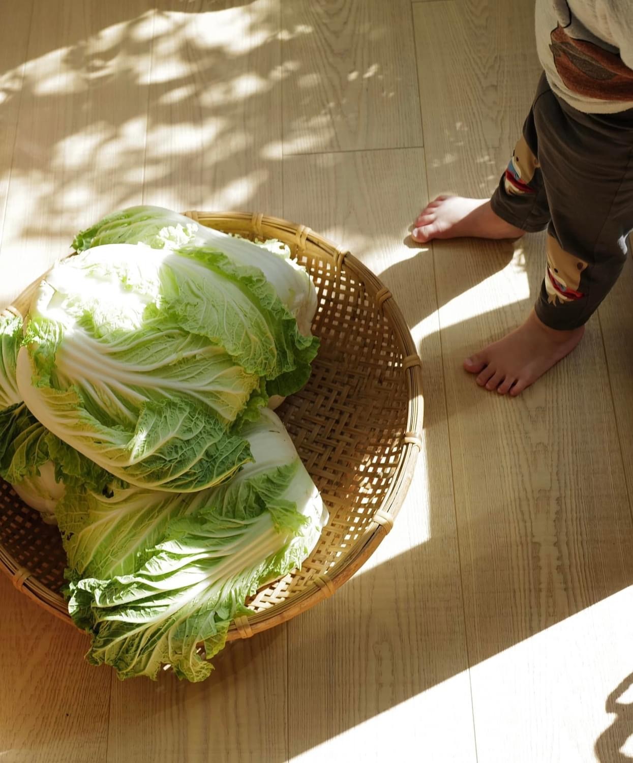 冬至｜醃酸白菜