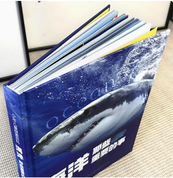 海洋那些重要的事（精装）