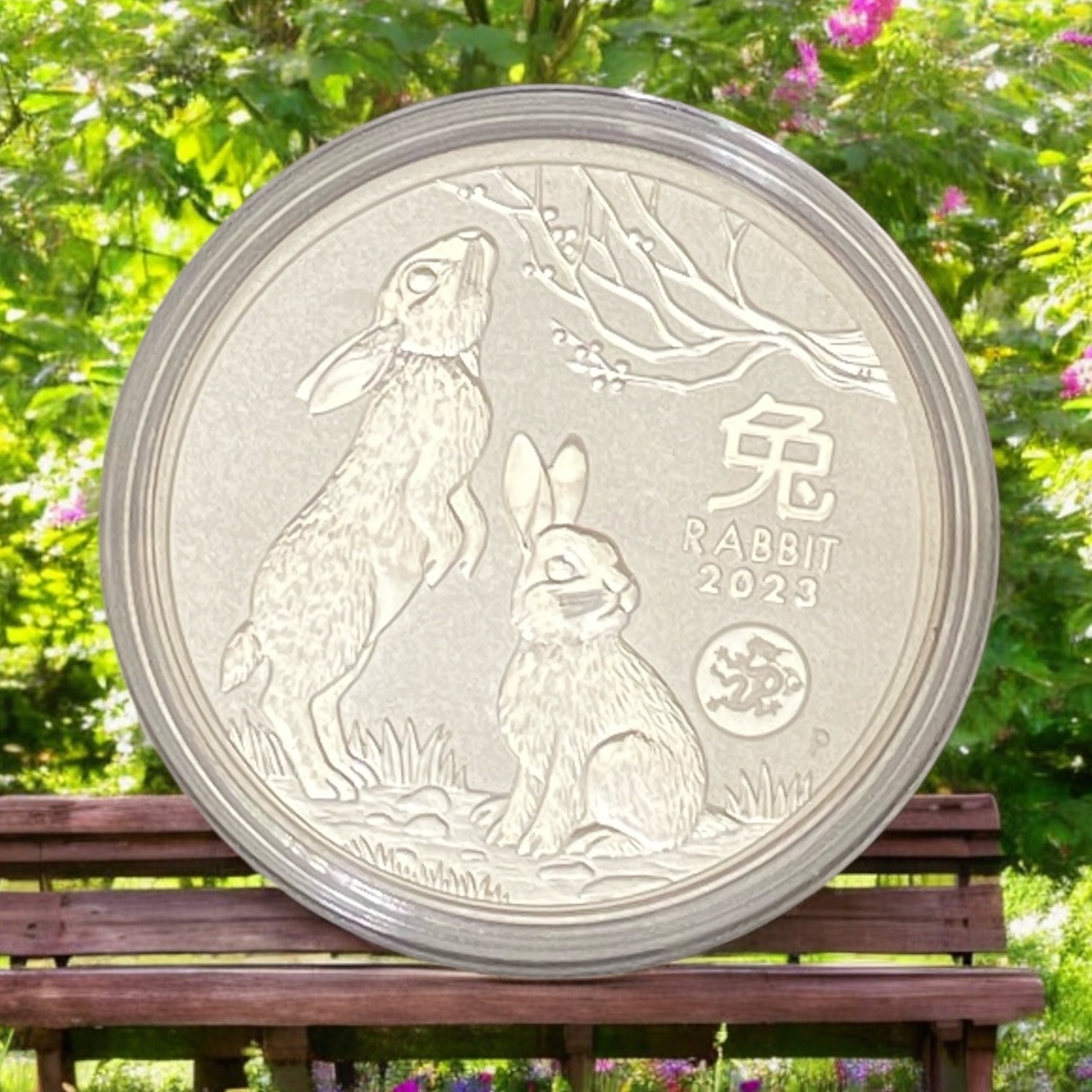 2023 Australian 1 Oz Year of the Rabbit (Third Series) Silver Coin (with Dragon Privy Mark)