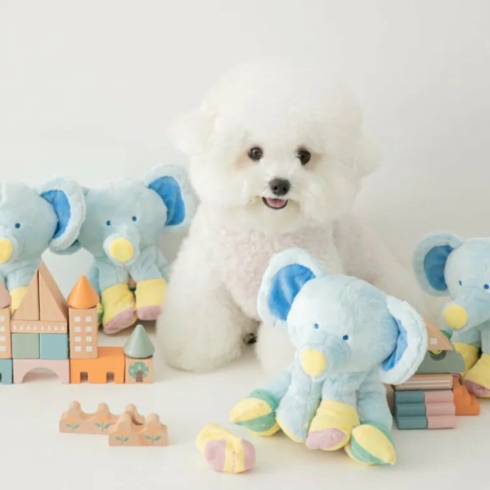 【新品】BITE ME 襪襪小象