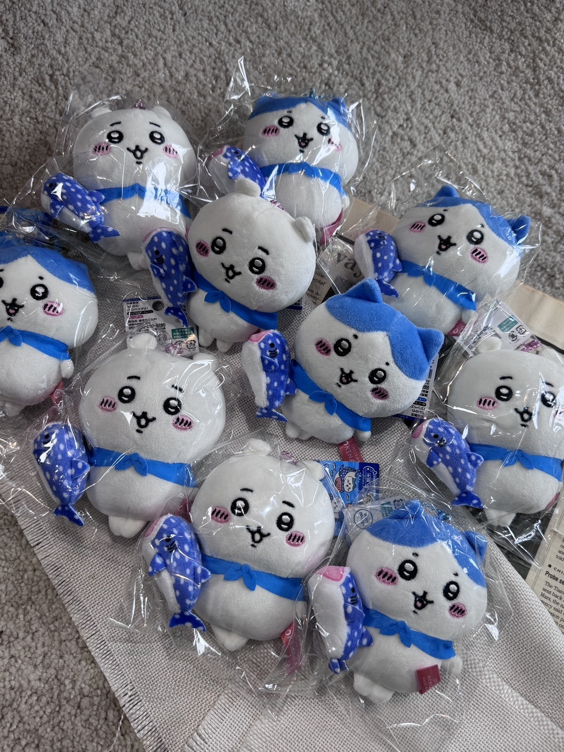 【現貨】Chiikawa 吉伊卡哇 沖繩限定 吊飾 娃娃 鑰匙圈 吉伊 小八