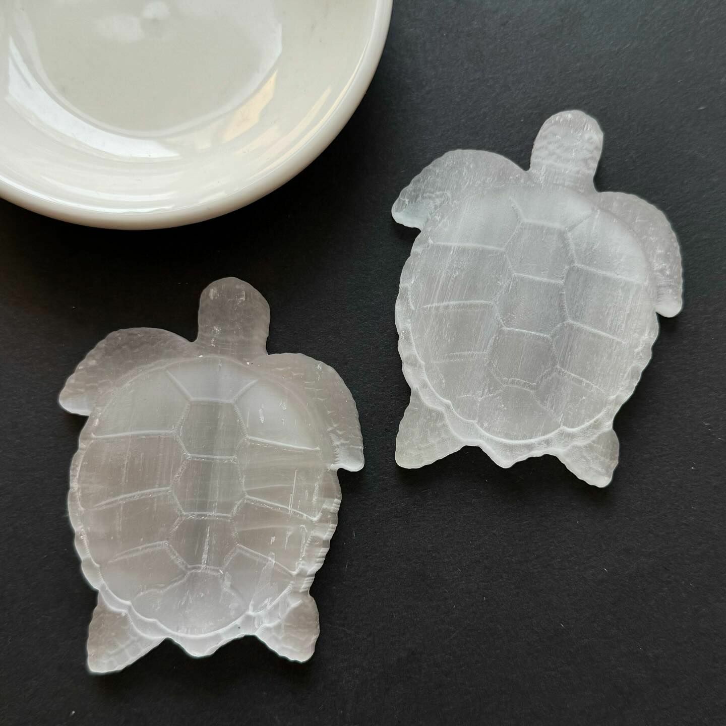 [原石] 透石膏 海龜