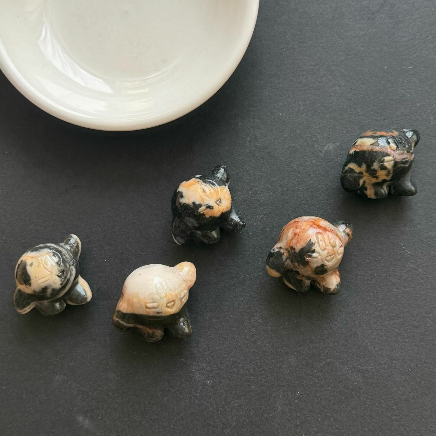 [原石] 斑馬石 星之卡比