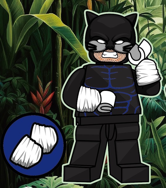 【Mr J Brick】野猫