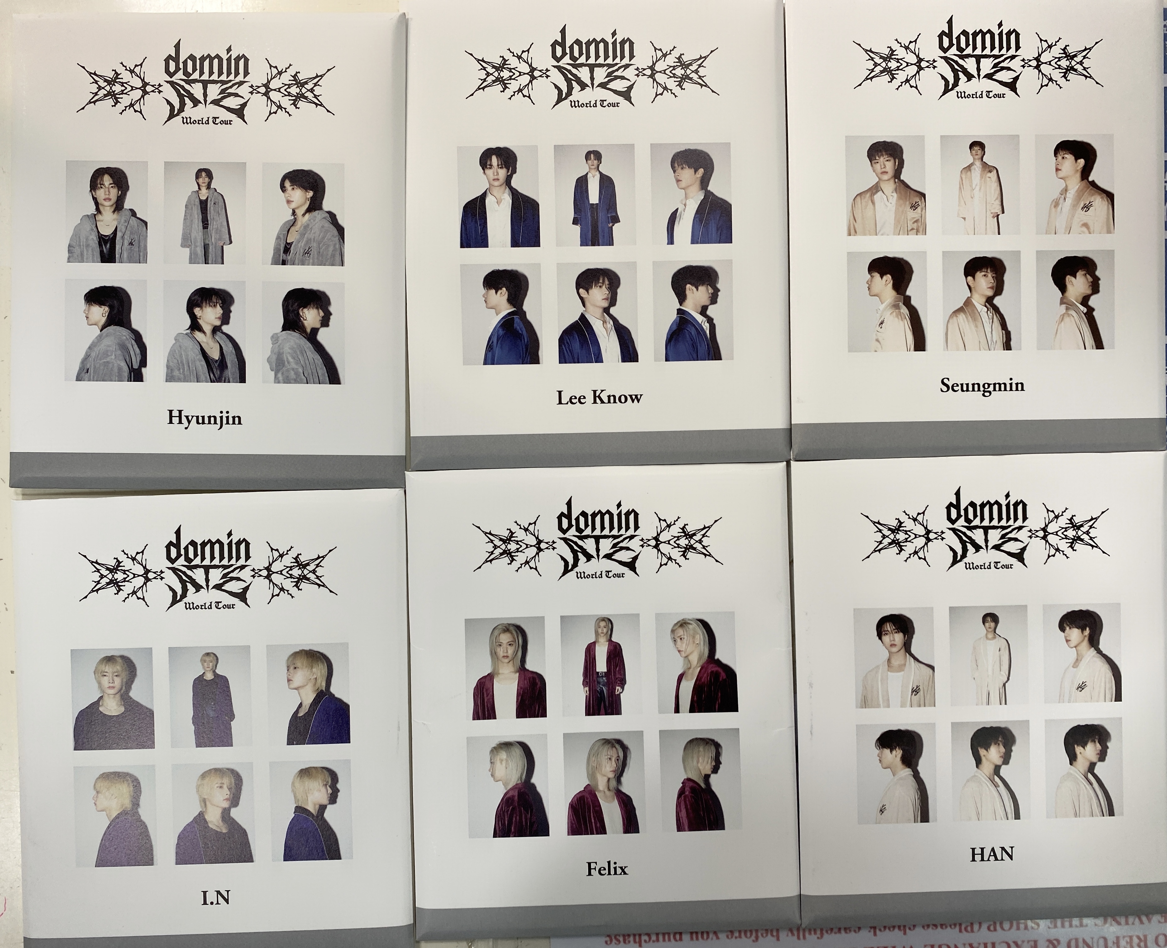 SKZ domin ATE JAPAN INSTANT PHOTO SET