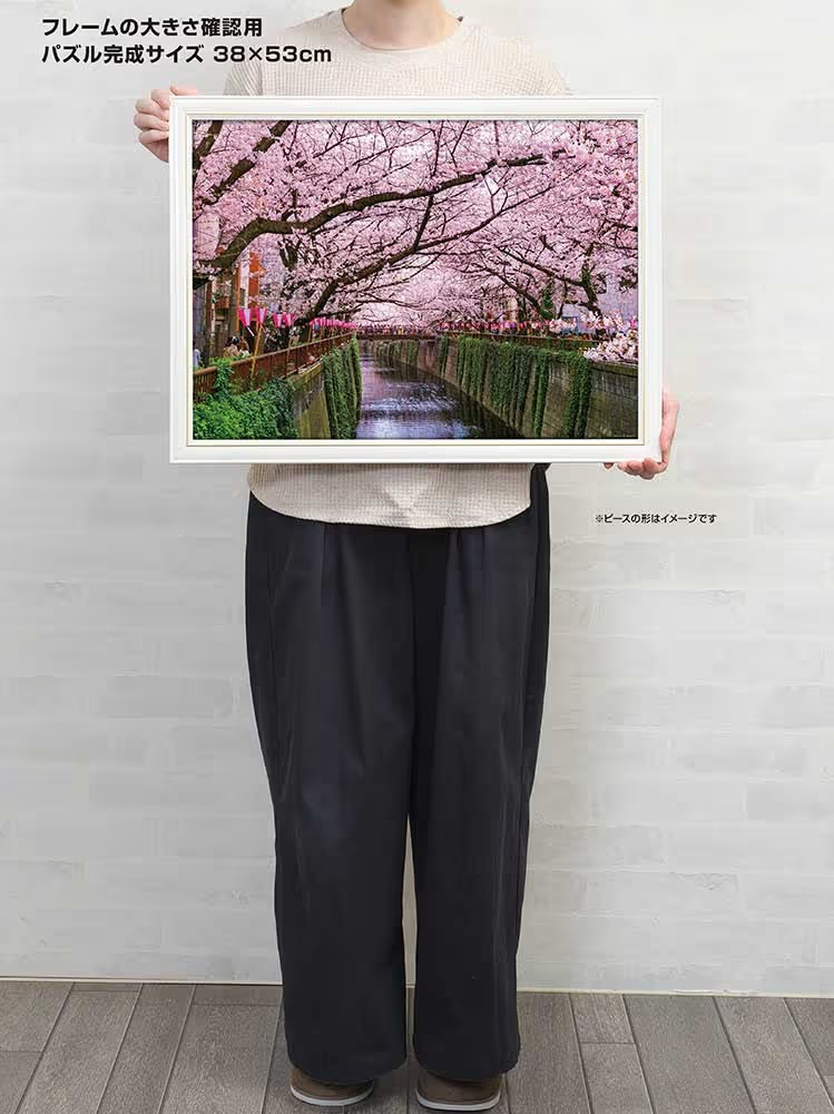 目黑川櫻花節（東京）