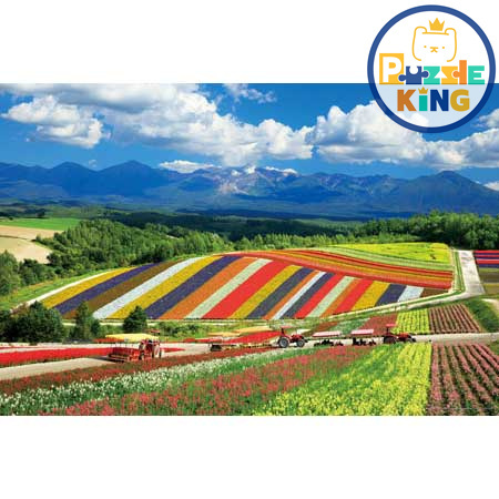 四季和十勝岳（北海道）