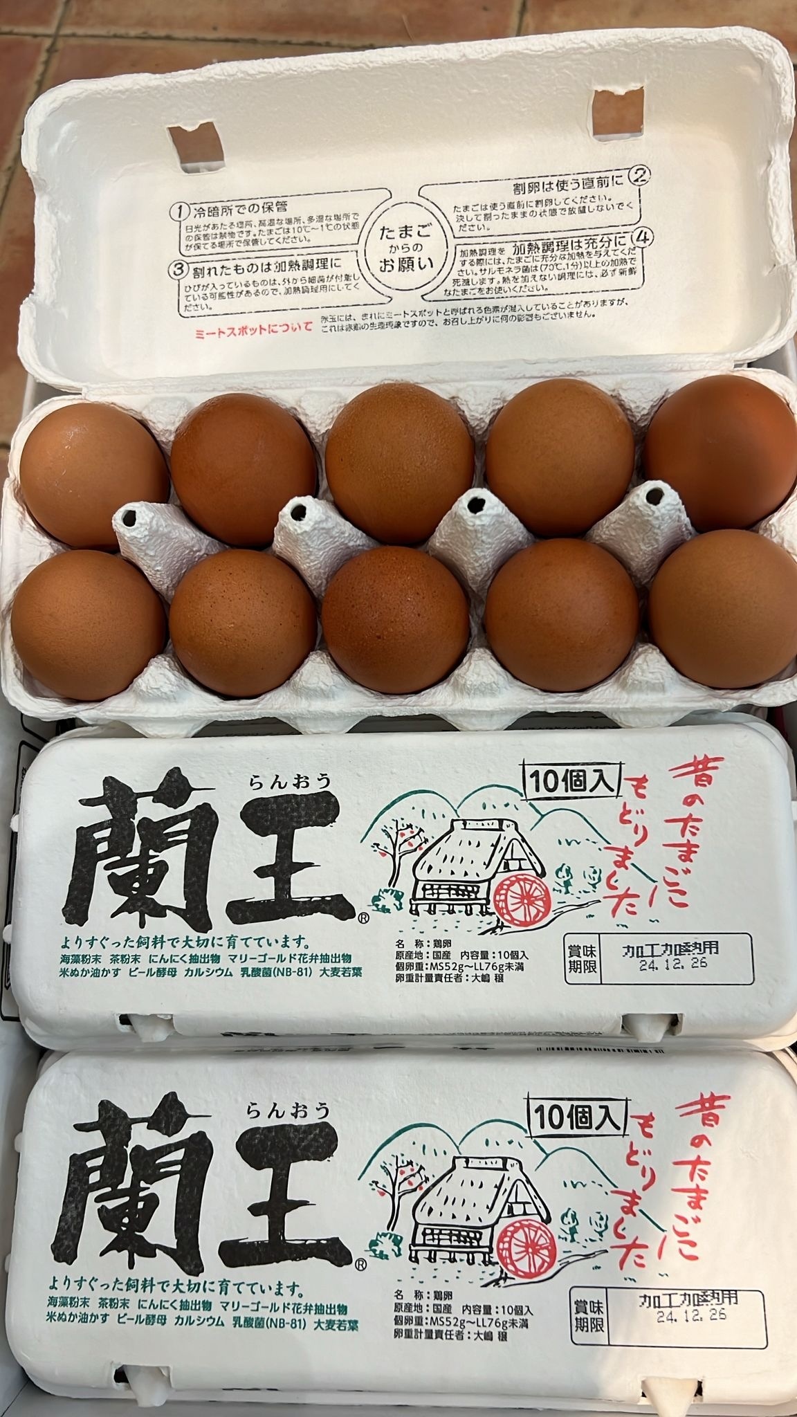 日本蘭王蛋