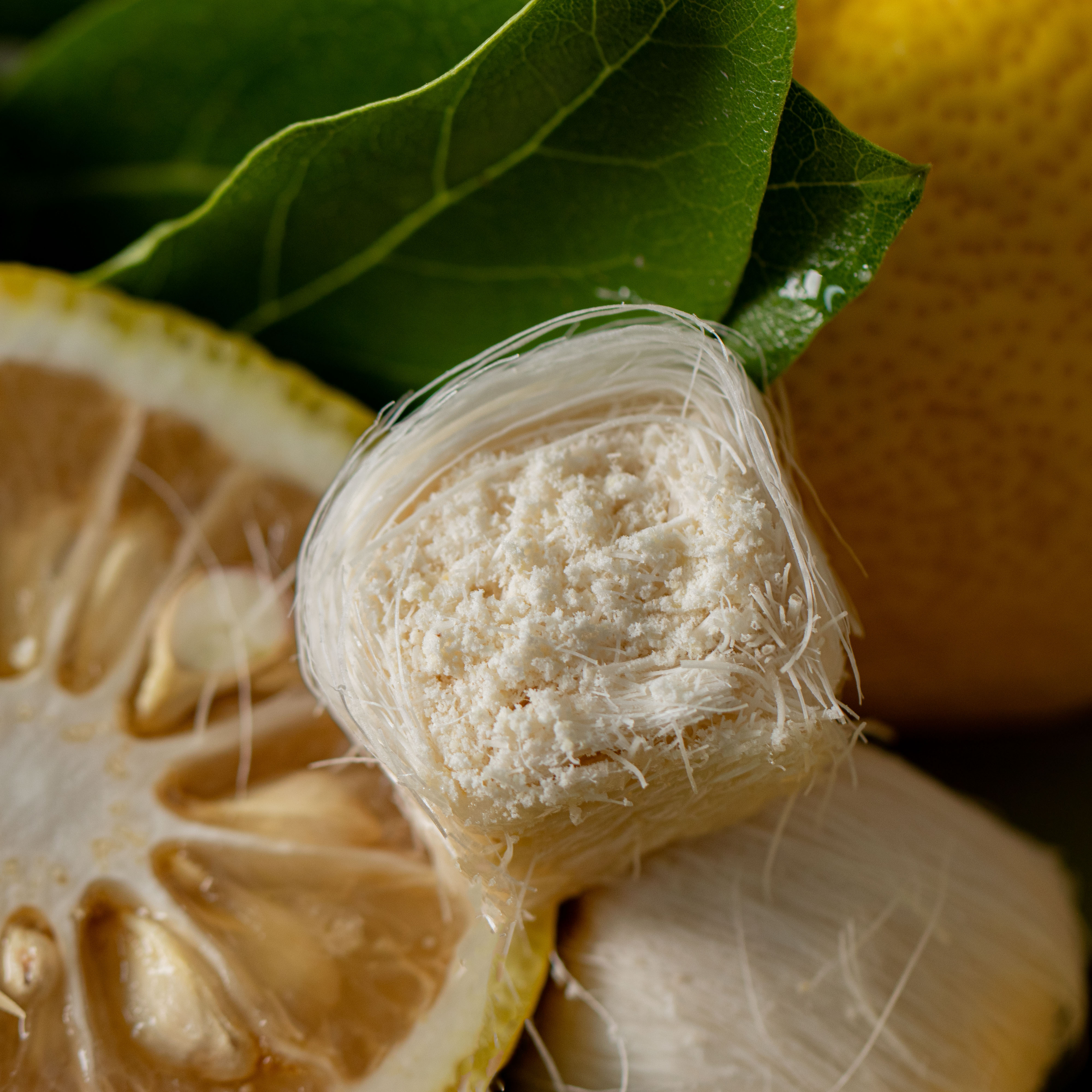 日本柚香法式龍鬚糖｜柚惑龍心